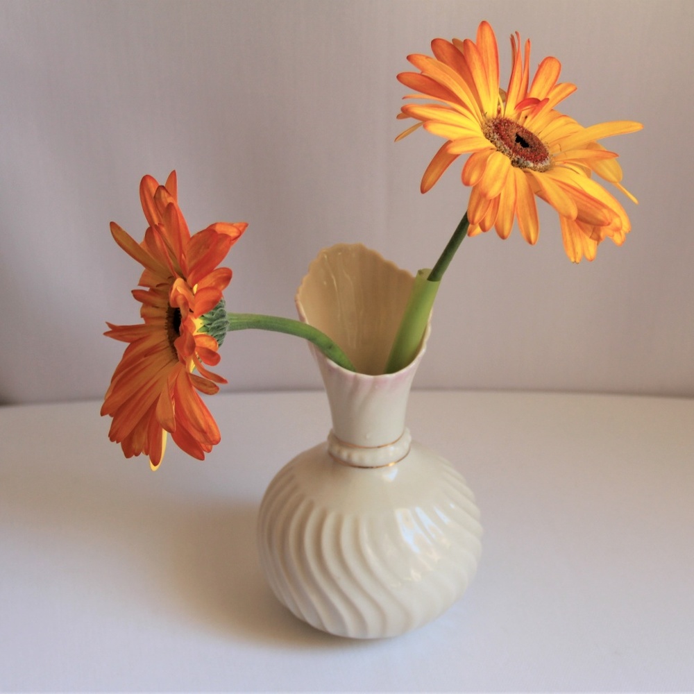 Belleek Porcelain China Ivory Vase